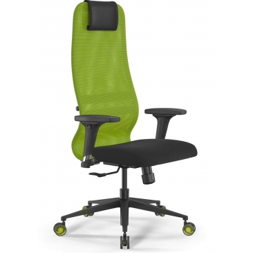 Кресло SYNCHROSIT 8 B1-9D X2+UMF(SY271) /Uh00/Wh12/D02P(M25.B11.G19.W29) черный/зеленый